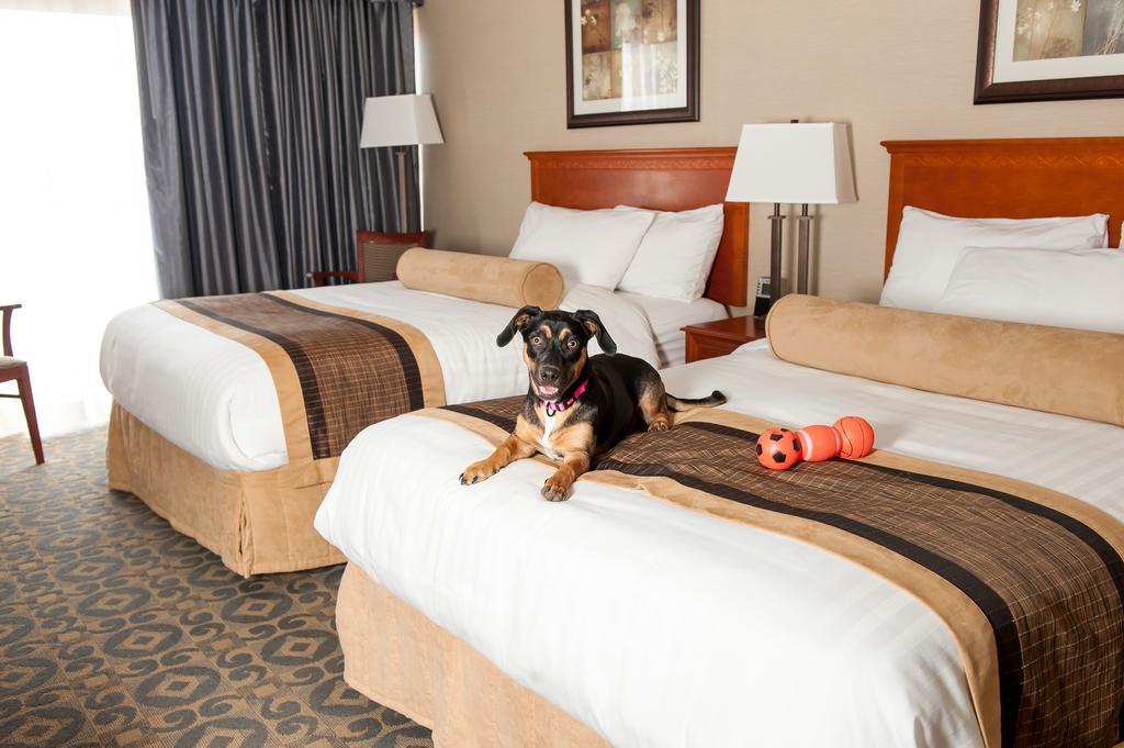 Best Western Brantford Hotel And Conference Centre Extérieur photo